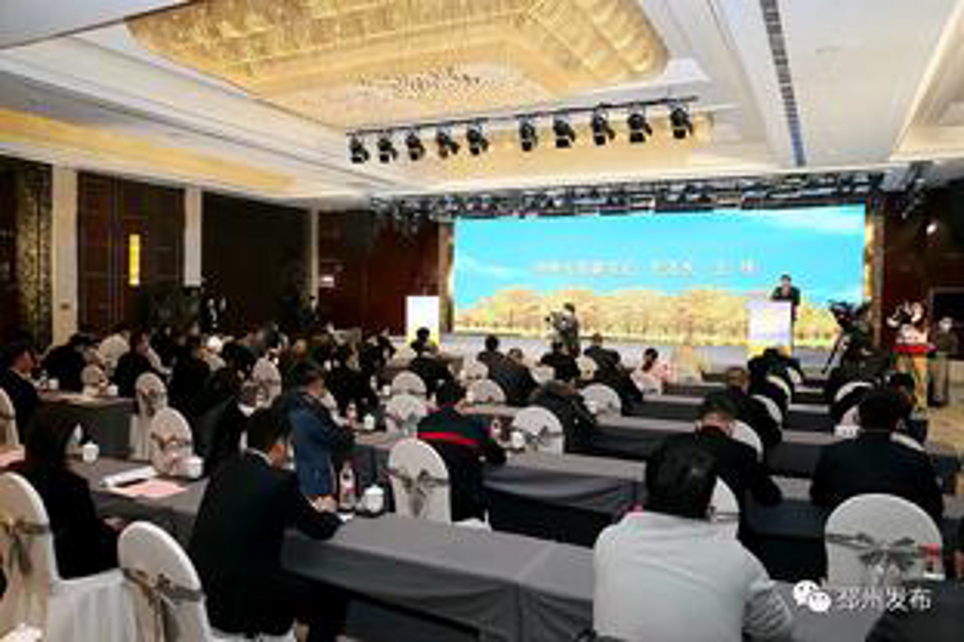 邳州科技协会
